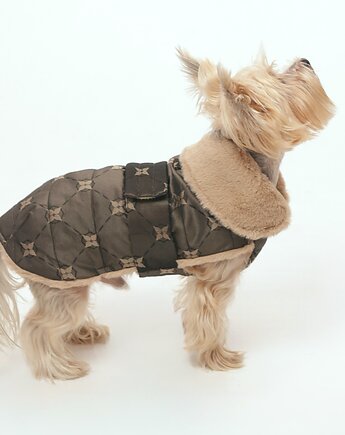 Kurtka zimowa dla psa Stella Taupe, MUSSO