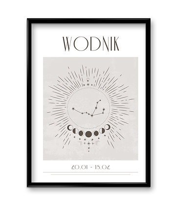 Plakat Wodnik Boho, Bury Lis
