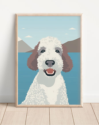 Plakat lagotto romagnolo, Whatever the timezone