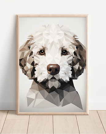 Plakat lagotto romagnolo, Whatever the timezone