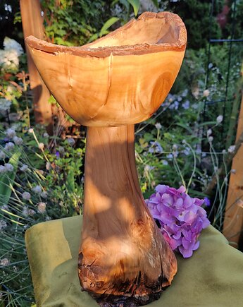 Drewniany Kielich Lasu, Fairytalewood