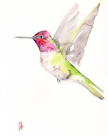 Oryginalna akwarela. Koliber, alquadro