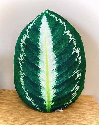 Poduszka Liść Calathea Kalatea, poduszkownia