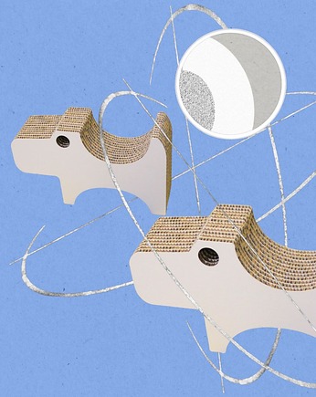 Doggy biały  tekton  , pies do ILORAZÓW FANTAZJI, LABORATORYART