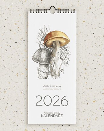 Kalendarz wiszący 2026. Naturalnie GRZYBY, beata sketches