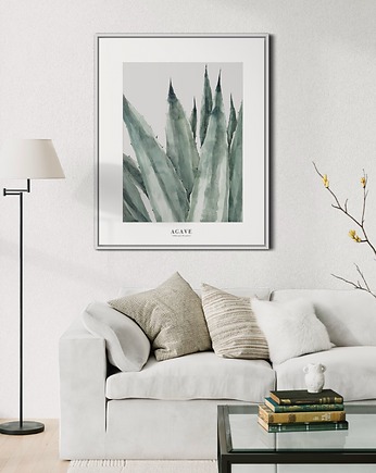 Agave / Fine art Print, Margo Hupert