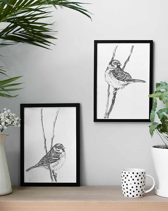 Wróbelki 21x30 - zestaw dwóch grafik, beata sketches