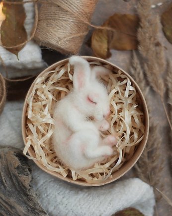 Śpiący Królik  w pudełku, BoboLobo Handicraft