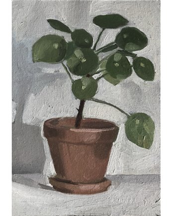 Pilea - obraz olejny, Malu Studio