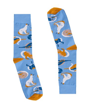 Skarpetki Egipt Koty 26-30, FAVES. Socks&Friends