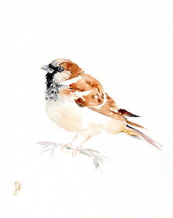 Oryginalna akwarela. Wróbel, alquadro