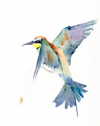 Oryginalna akwarela. Żołna, alquadro