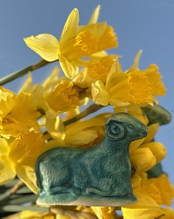 Joanna Serafin design projektant