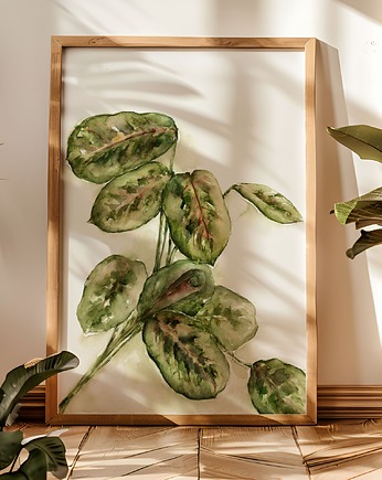 Maranta akwarela botaniczna ręcznie malowana oryginał, Leafly