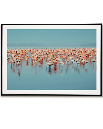 Plakat Flamingi - flaming - zwierzęta, Bajkowe Obrazki