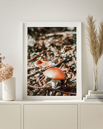 Plakat Jesienne klimaty, COLORMINT