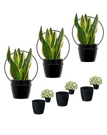 Kiwetniki na Ścianę Wiszace 3 szt Metalowe Loftowe Doniczki Gratis, A.D Home