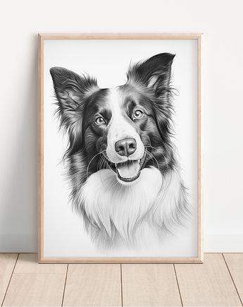 Plakat border collie, Whatever the timezone