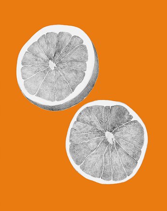 Plakat  Citrus paradisi, Kredka Papier