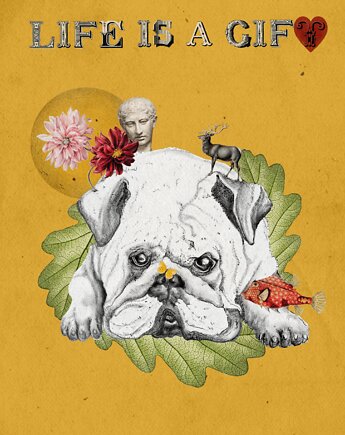 Plakat/Kolaż cyfrowy "Life is a gift", mamam