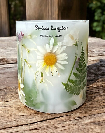 Lampion Botaniczny -Stokrotkowe Love, ploty doroty