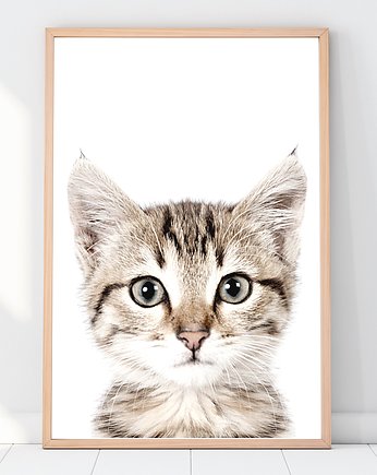PLAKAT, OBRAZEK kot sepia, Dekoracjan