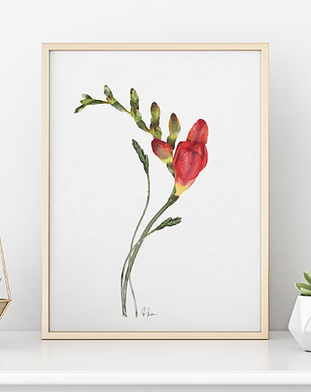 Frezja, grafika, akwarela, Urszula Steczkiewicz