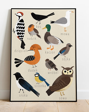 Plakat  Ptaki, MUKI design