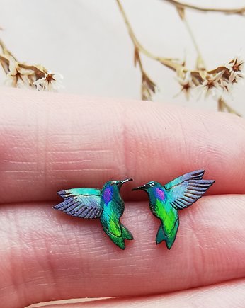 Koliberki malowane, DWUKROOPEK