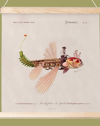Plakat Fishboy, SCRAPS