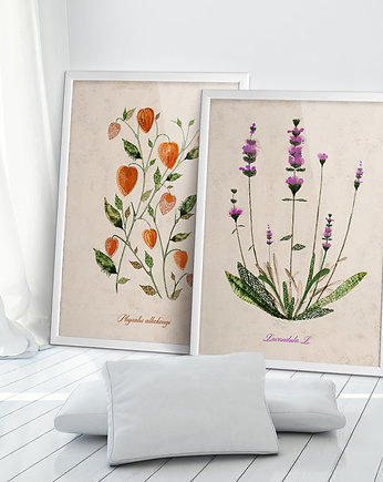 Grafiki botaniczne  50x70 cm, OKAZJE - Prezent na Komunie