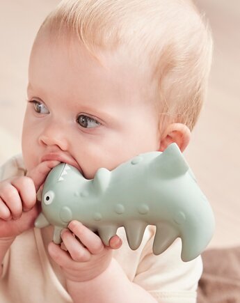 Gryzak Dinozaur THEO OYOY Mini, OYOY
