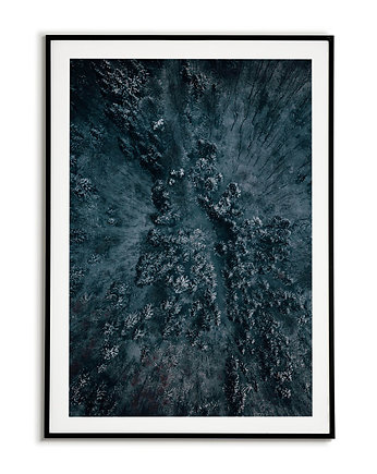 Plakat fotograficzny - Niebieski las Obraz, Bajkowe Obrazki