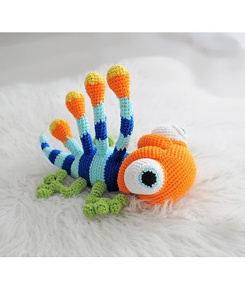 Kolorowa Longiskwama, Lollipop