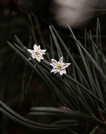 Szarotki - srebrne kolczyki na sztyftach, Szkatułka Emi