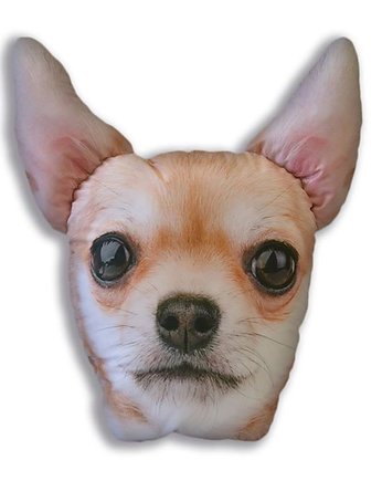 Poduszkopies CHIHUAHUA, Seepoint