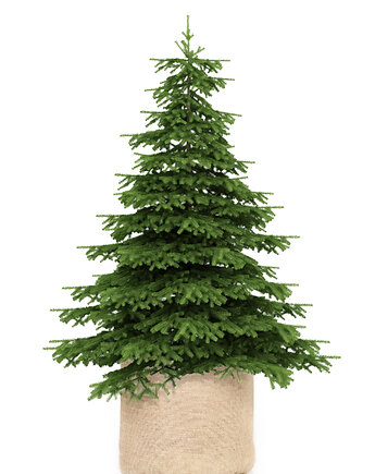 DJ 1014 Donica osłonka jutowa laminowana duża fi 62 X 43 h cm, PAPEDA