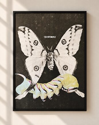 Plakat Wracam - surrealistyczny kolaż, collage.collide
