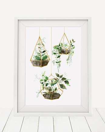 ilustracja botaniczna  A3, Anita Tomala