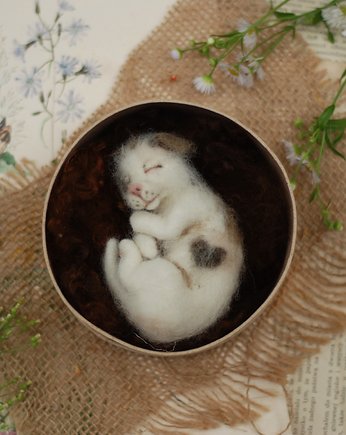 Śpiący piesek  w pudełku, BoboLobo Handicraft
