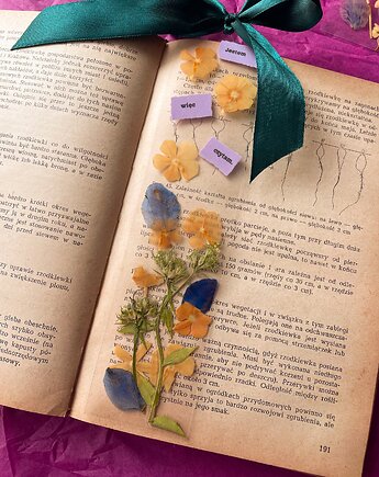 Zakładka do książki z suszonymi kwiatami, Suszony & Co.