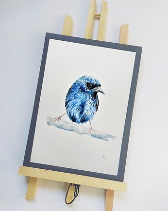 Akwarela niebieski ptak cukrownik, Wiktoria Borys Art