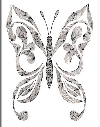 66. MOTYL - rysunek, plakat., kama4you