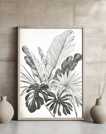 Plakat monstera, ArchiBotanica
