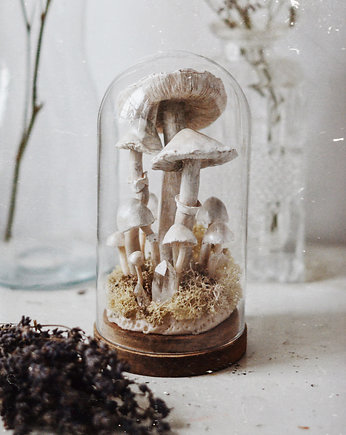 Dekoracja z grzybami - szklany klosz kopułka z grzybami, MiloMaluje