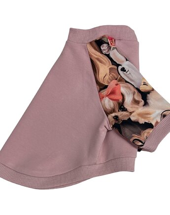 Bluza dla psa z raglanowym rękawem PIESKI rozmiar M, Psia szafa