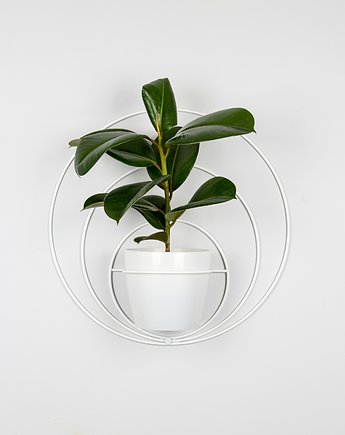 Kwietnik ,,Pawie Oko''50 cm + doniczka/osłonka Gratis, A.D Home