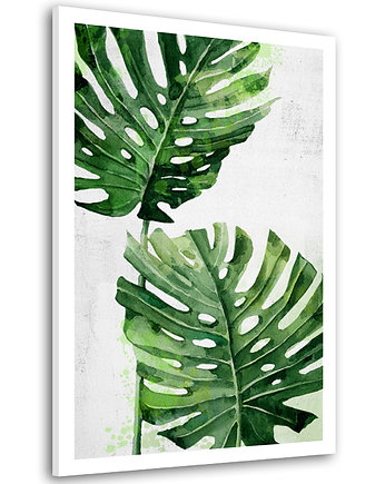 Obraz na płótnie LIŚCIE MONSTERA 80x120cm, LUdesign gallery