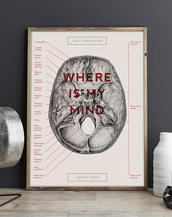 Plakat anatomiczny WHERE IS MY MIND, Marta Pawelec Medical Art