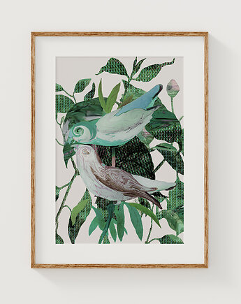 Plakat ptaki  30x40 cm, Anita Tomala
